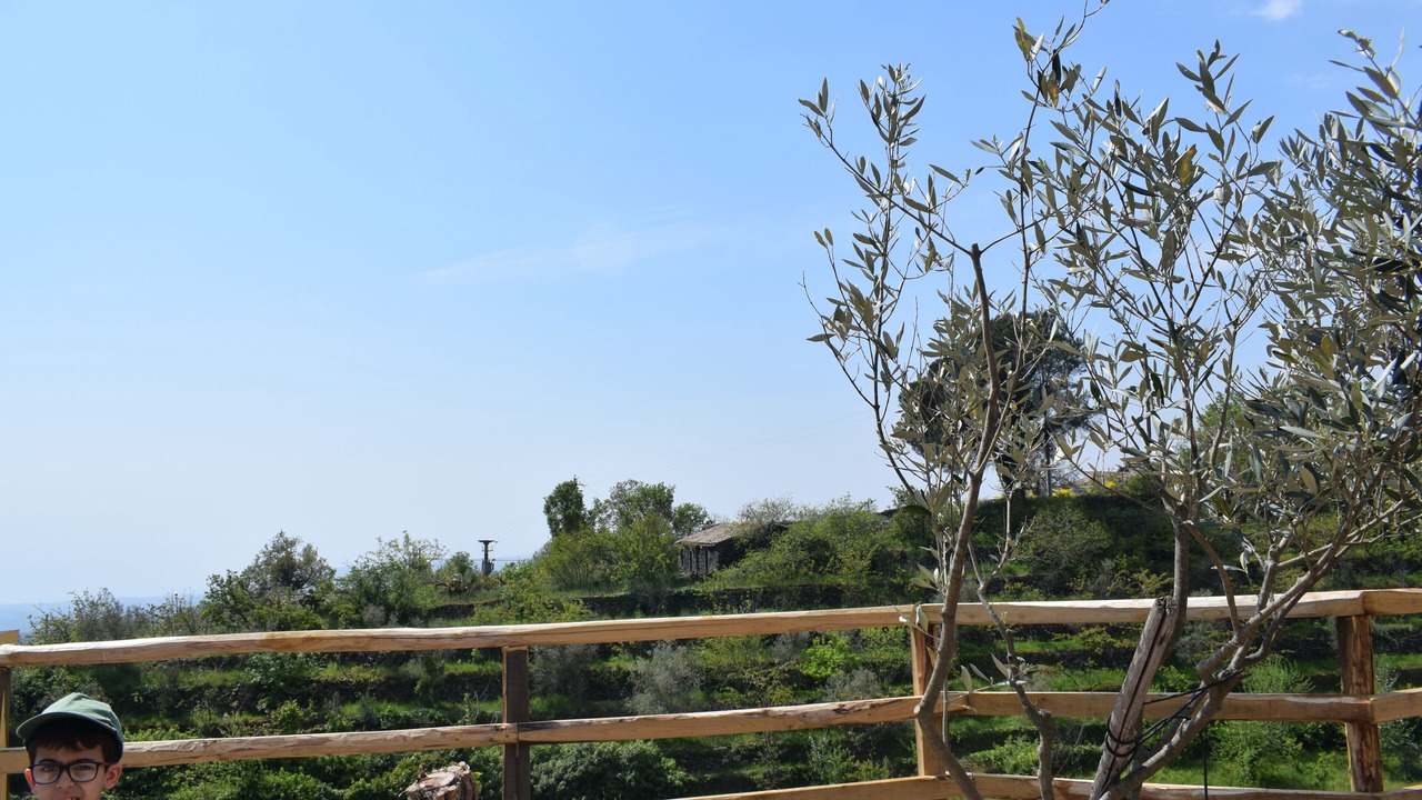 Photo of Outdoor in Fornazzo