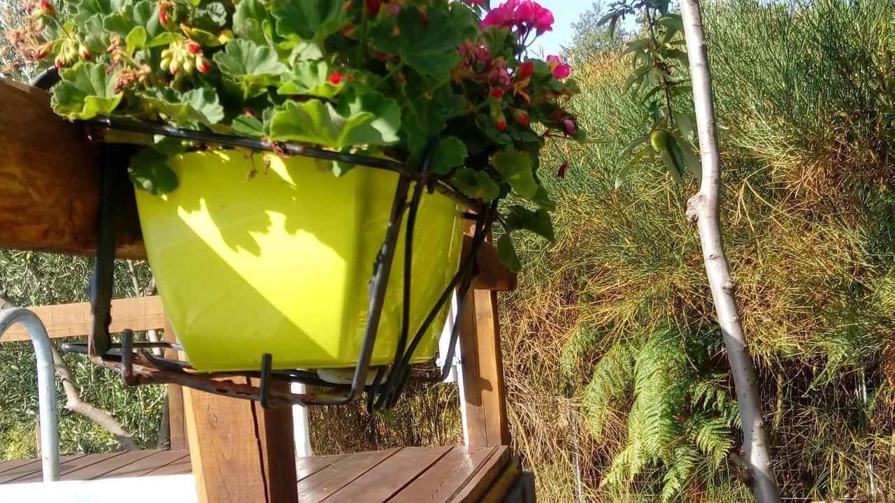 Photo of Outdoor in Fornazzo