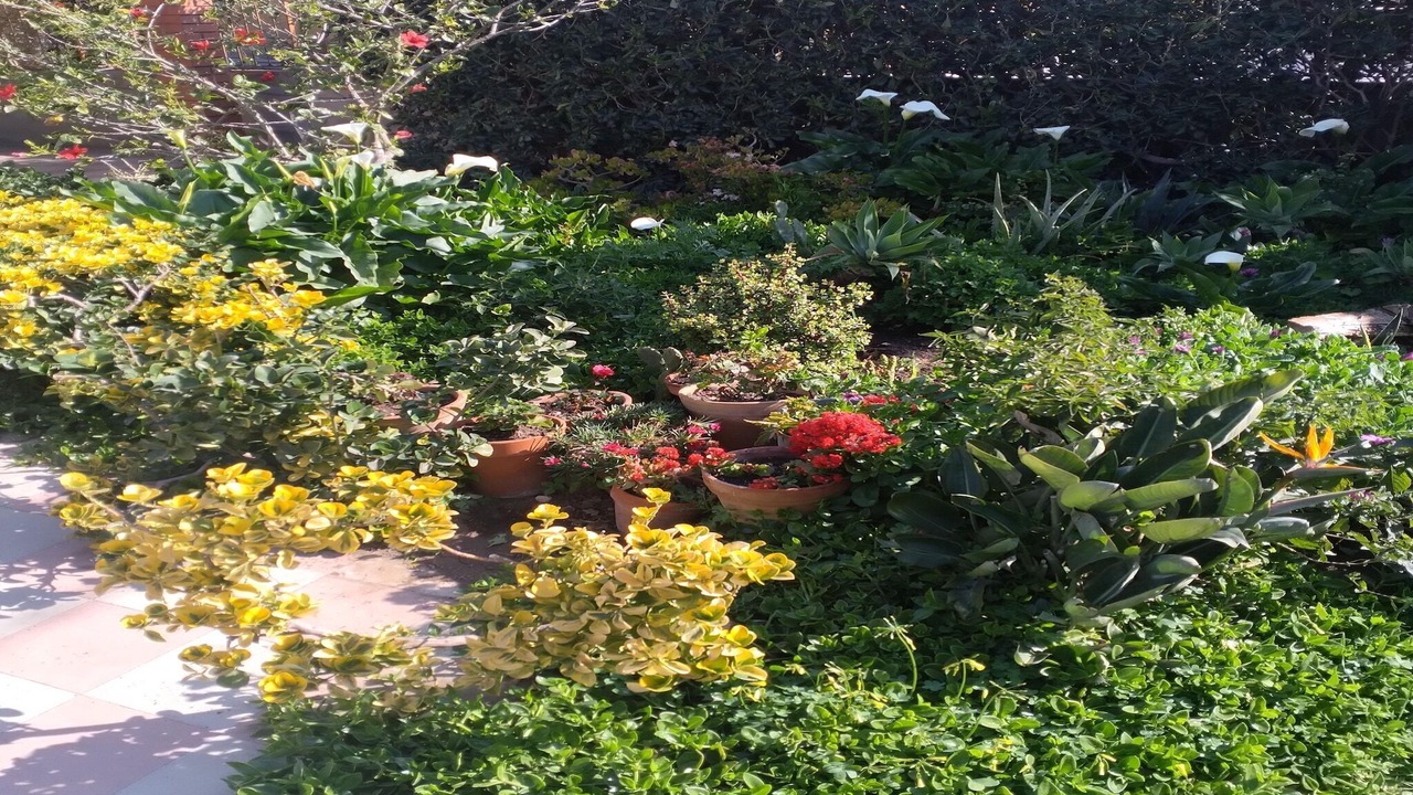 Photo of Outdoor in Agnone Bagni