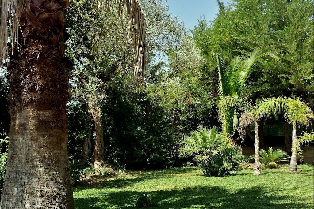 Photo of Others in Caltagirone