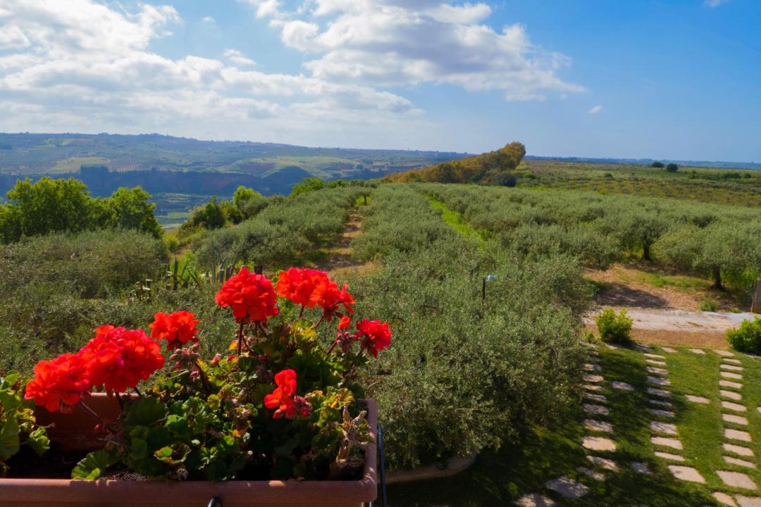 Photo of Others in Caltabellotta