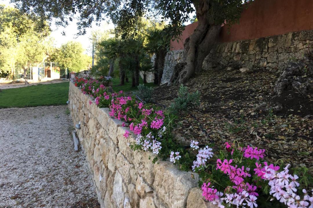 Photo of Buildings in Rosolini