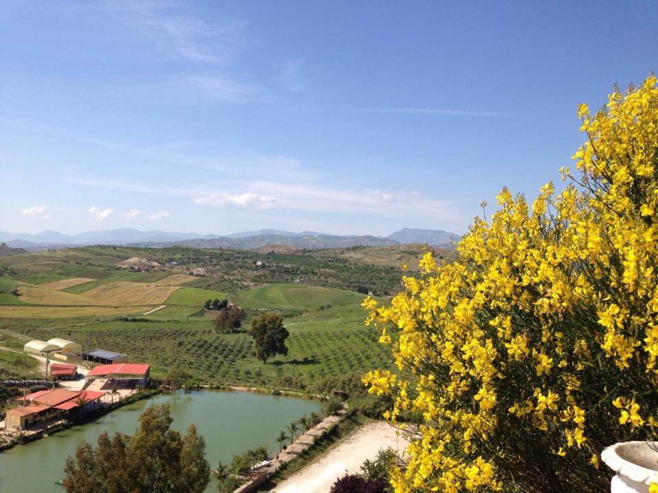 Photo of Others in Aragona