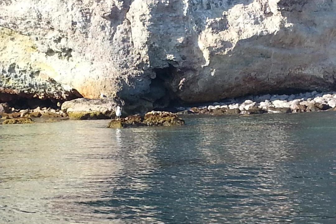 Photo of Others in Panarea