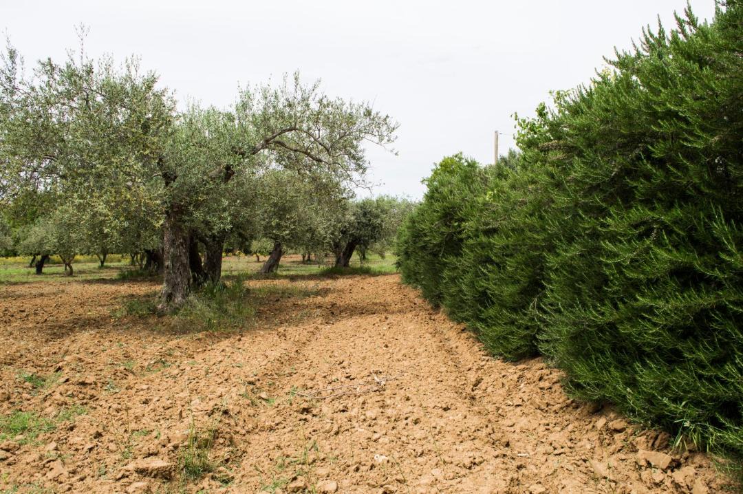 Photo of Outdoor in Pietraperzia