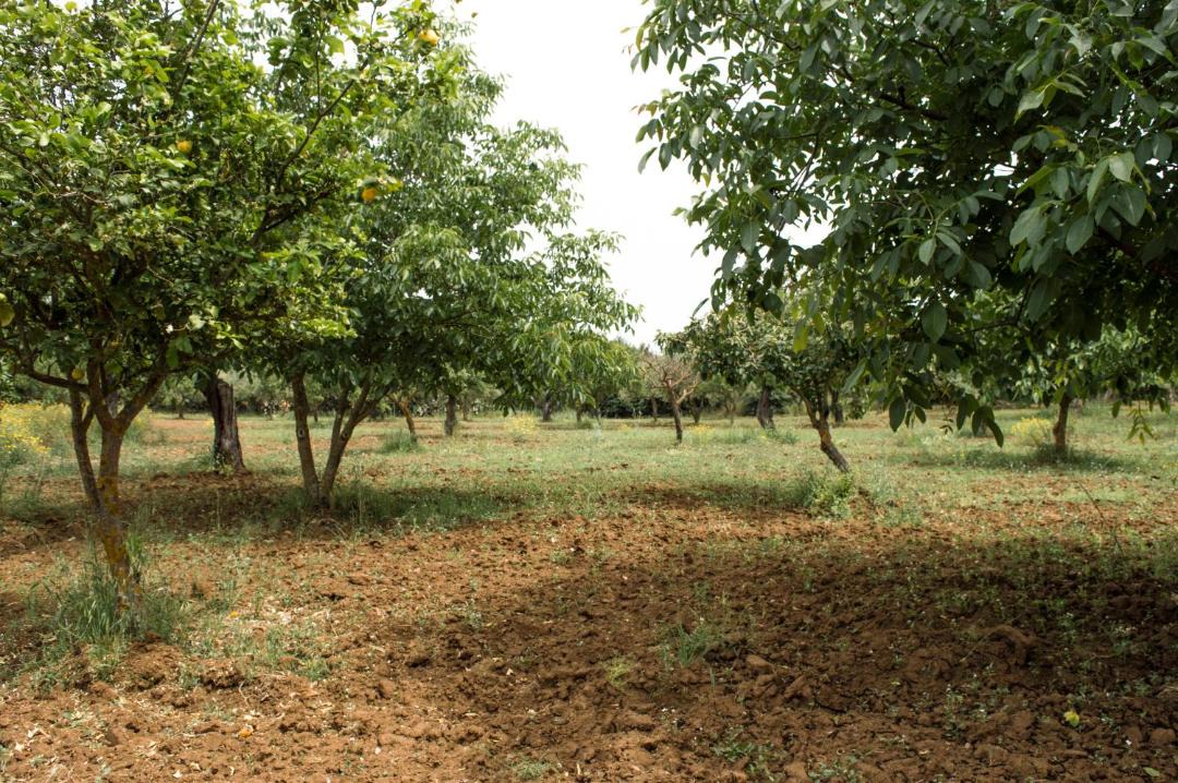 Photo of Outdoor in Pietraperzia