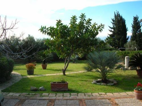 Photo of Others in Chianchitta-Trappitello