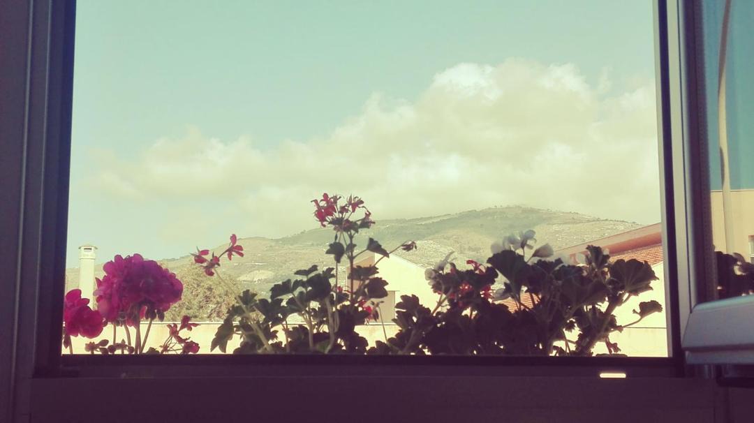 Photo of Others in Trapani