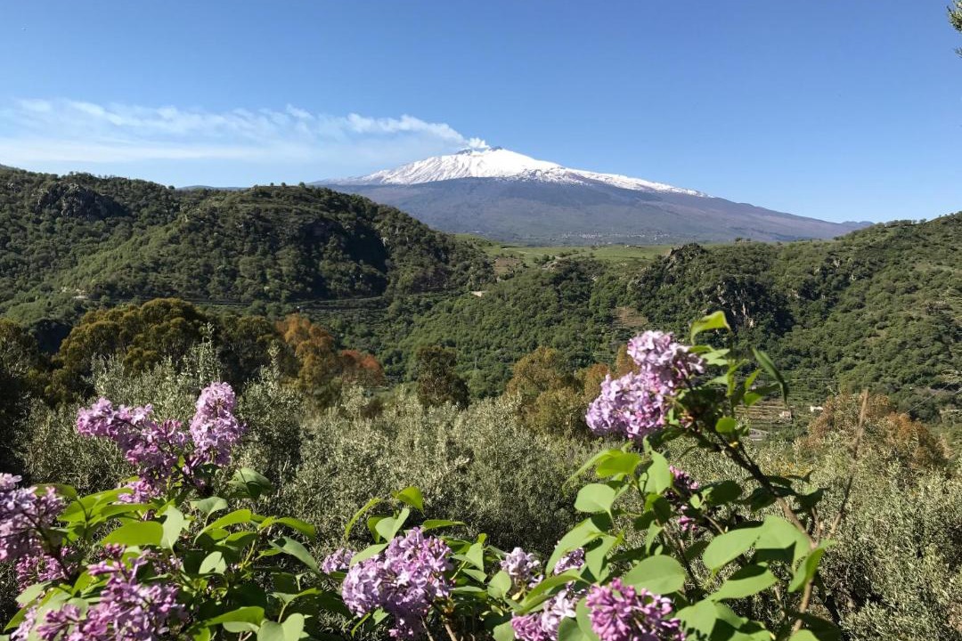 Photo of Outdoor in Francavilla di Sicilia