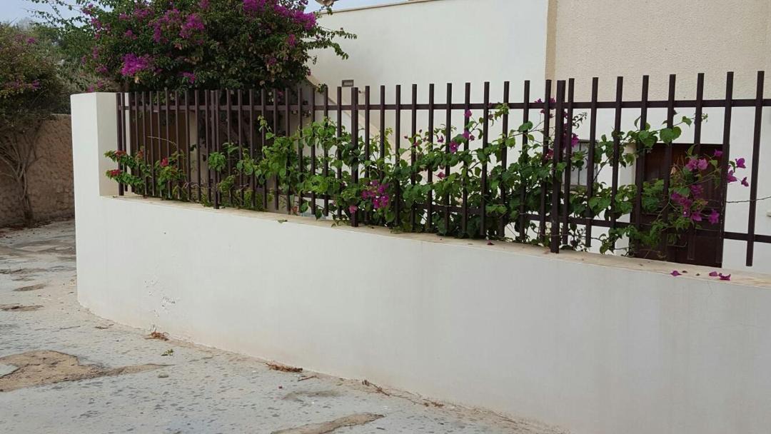 Photo of Others in Lampedusa