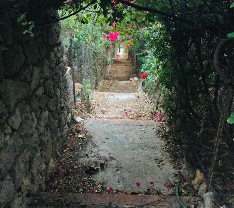 Photo of Others in Capo Zafferano