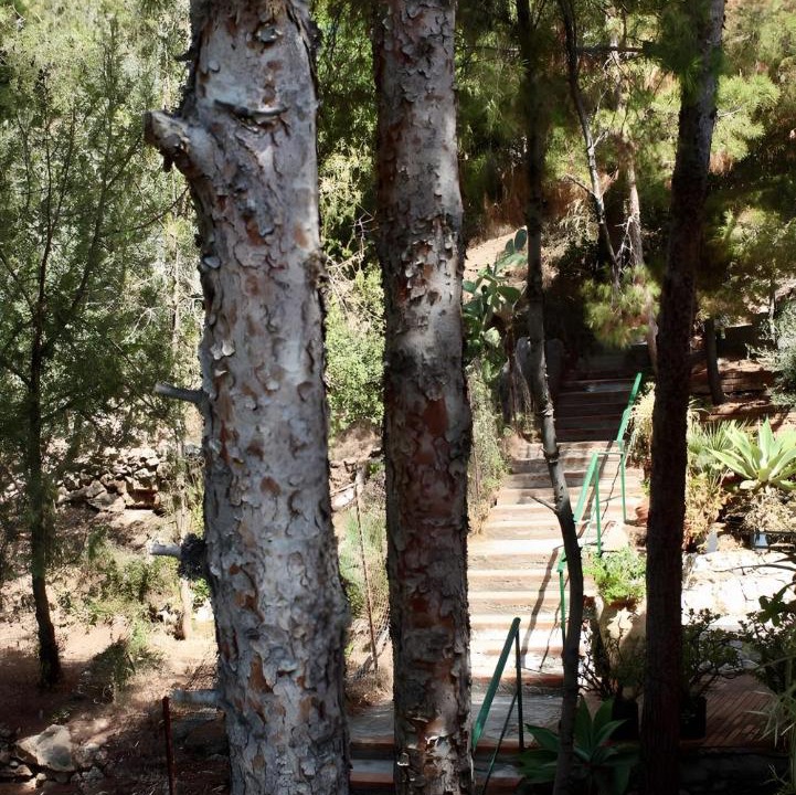 Photo of Others in Capo Zafferano