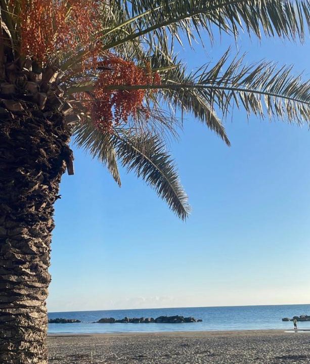 Photo of Others in Marina di Casal Velino