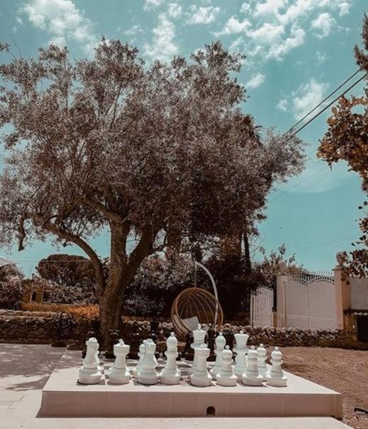 Photo of Others in Noto Marina