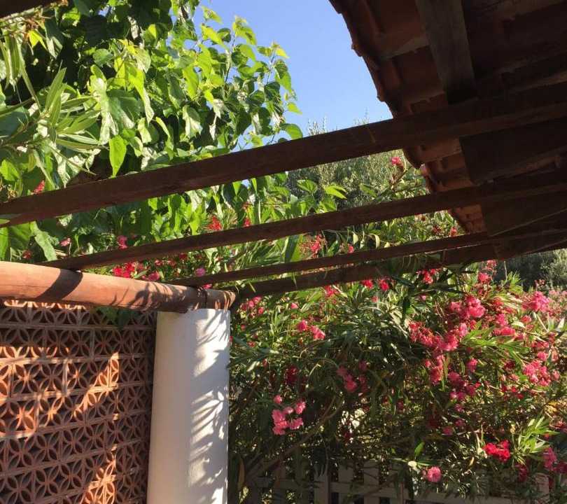 Photo of Patio Balcony in Vulcano Porto