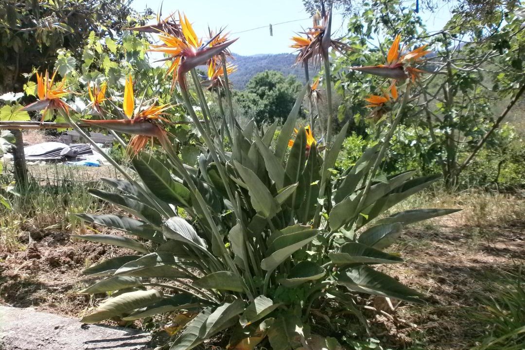 Photo of Others in Pollina