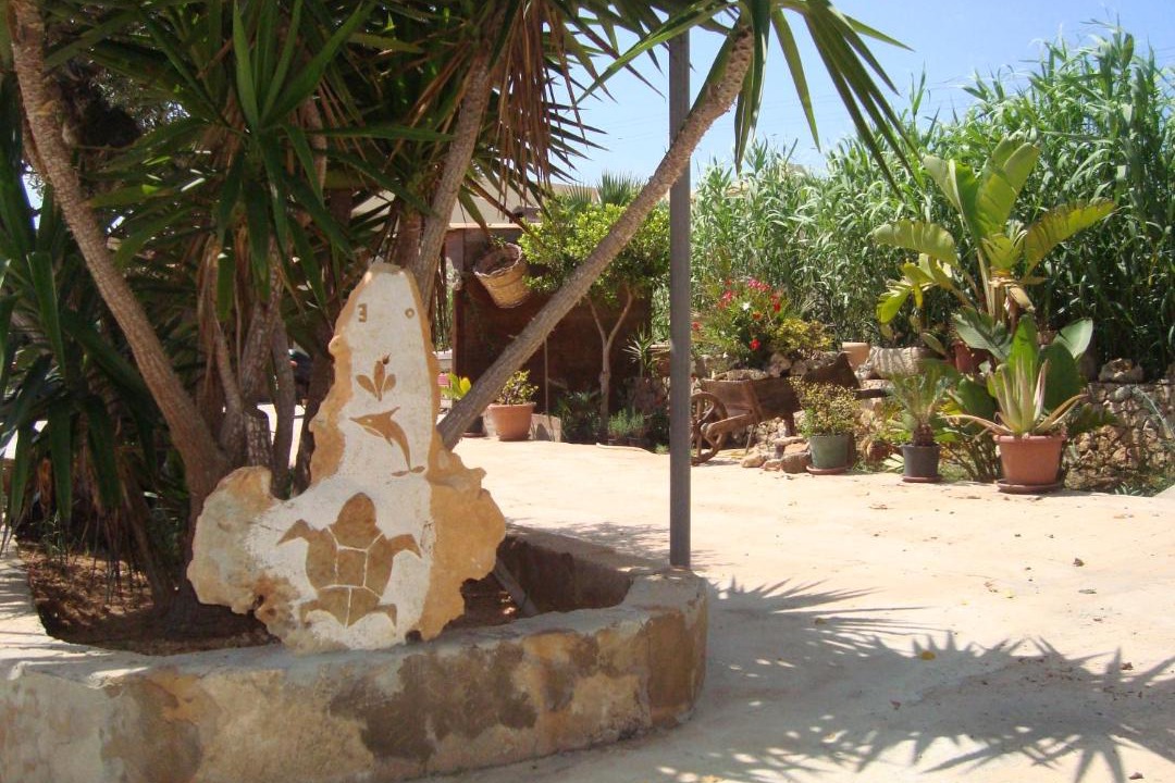 Photo of Others in Lampedusa