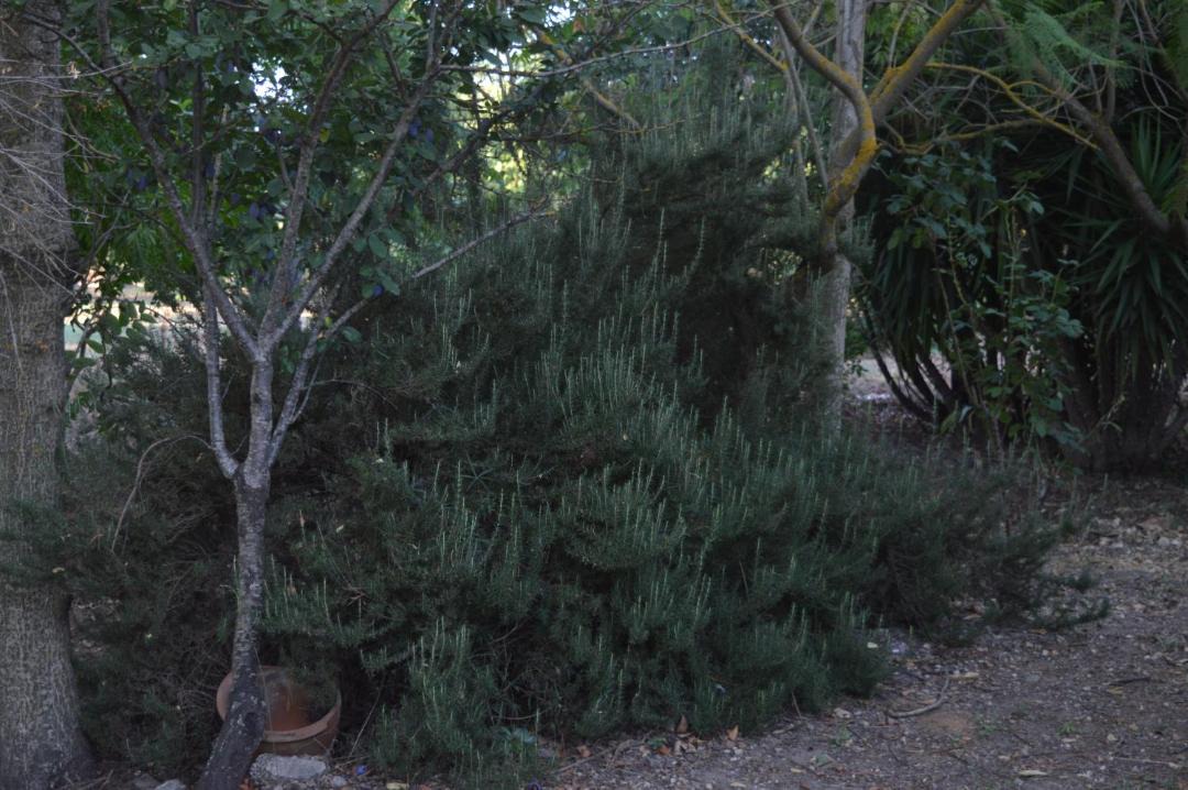 Photo of Outdoor in Pietraperzia