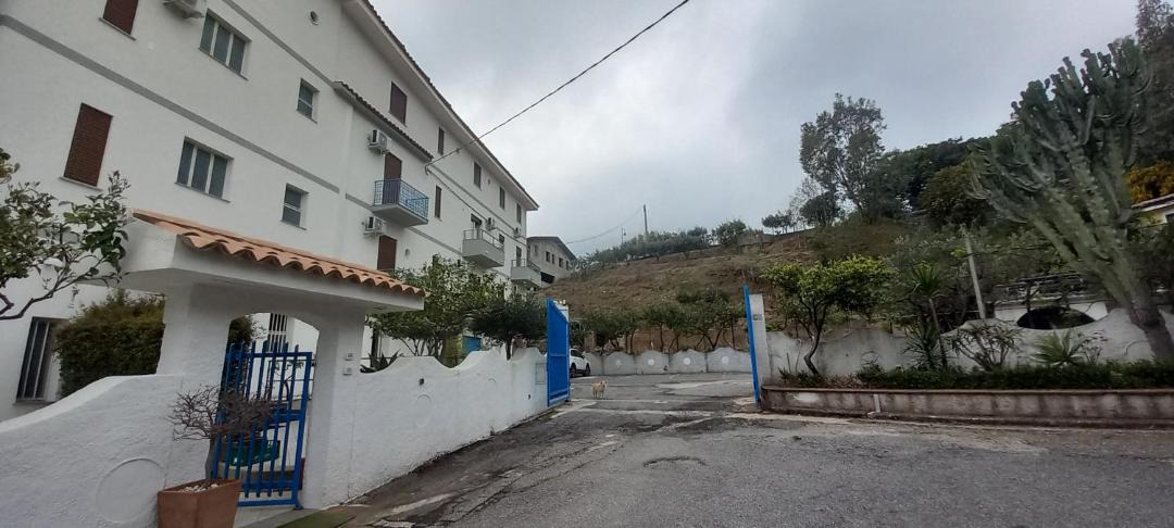Photo of Others in Copanello