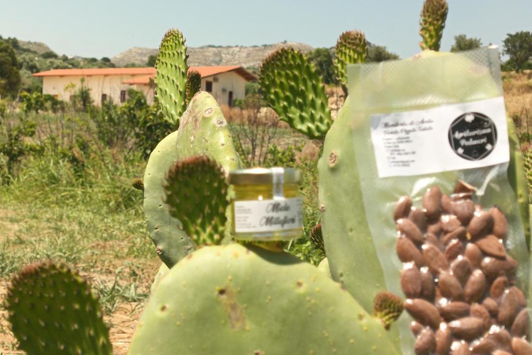 Photo of Outdoor in Avola