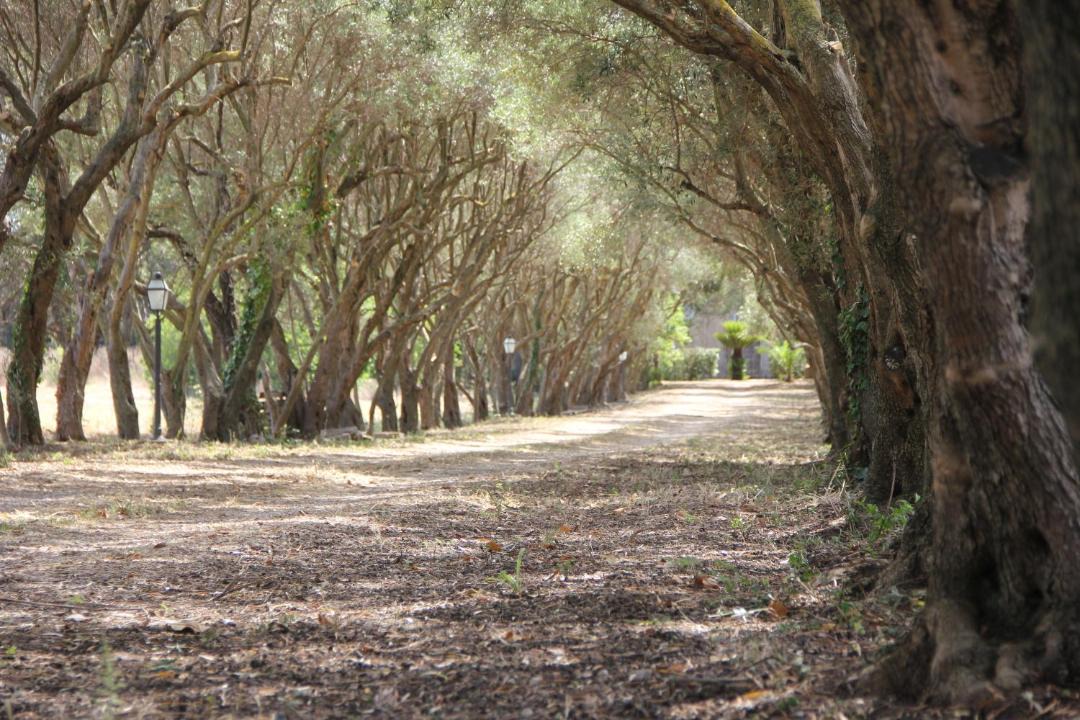 Photo of Others in Santa Maria di Castellabate