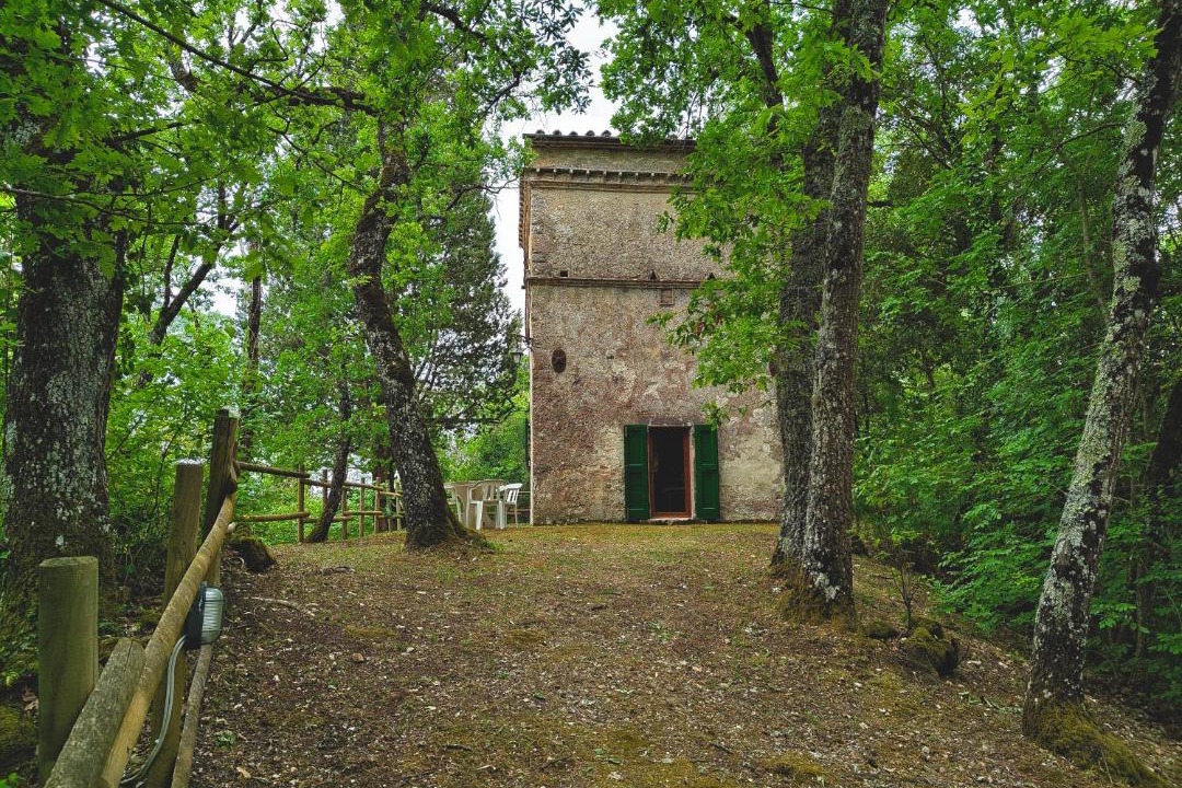 Photo of Others in San Casciano dei Bagni