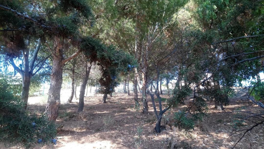 Photo of Others in Siculiana
