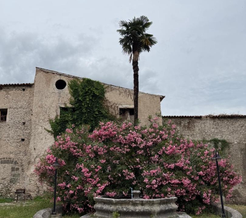 Photo of Others in Piedimonte Matese