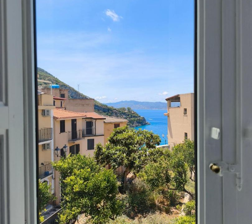 Photo of Others in Scilla