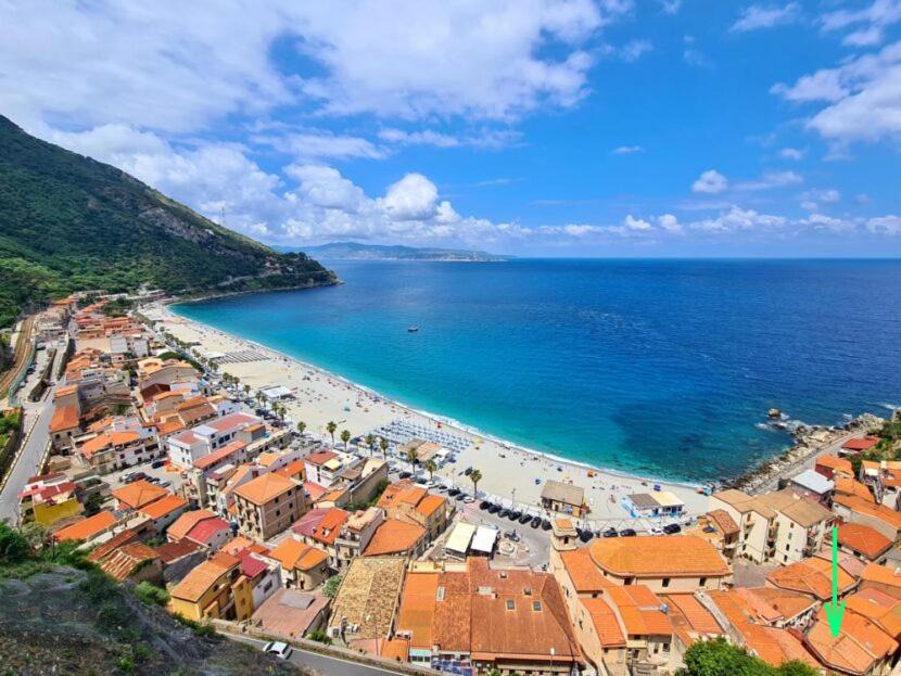 Photo of Others in Scilla