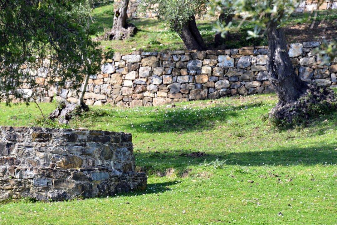 Photo of Others in Torraca
