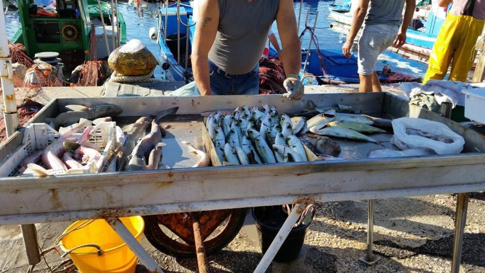 Photo of Others in Tonnara di Bonagia