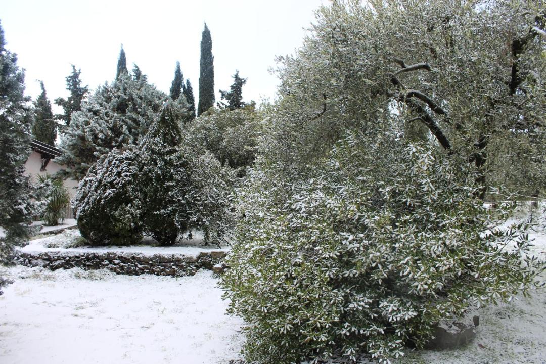 Photo of Others in Santa Maria di Licodia