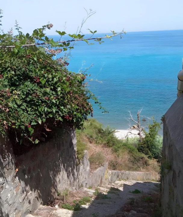 Photo of Others in Province of Messina