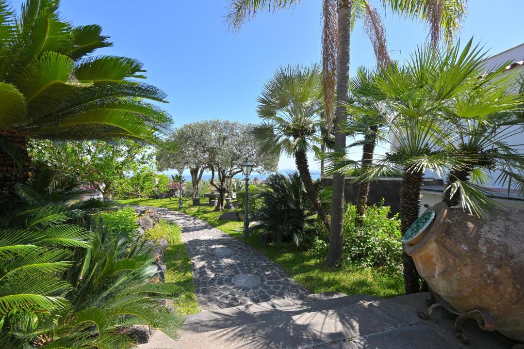 Photo of Others in Ischia Porto