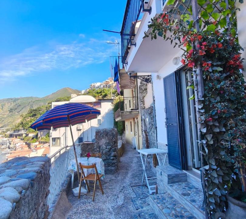 Photo of Others in Scilla