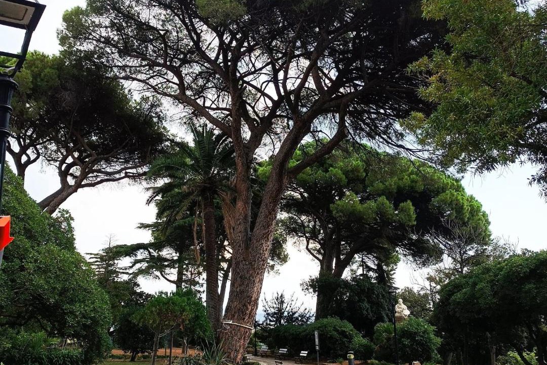 Photo of Others in Catanzaro