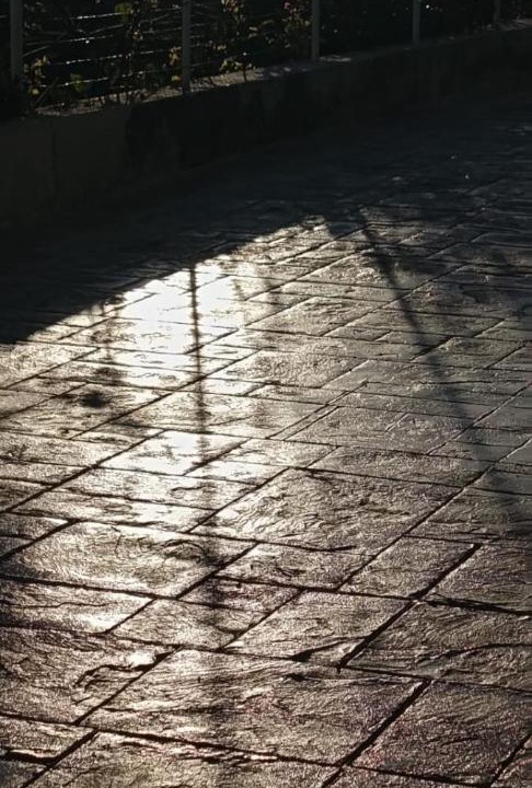 Photo of Others in Gela
