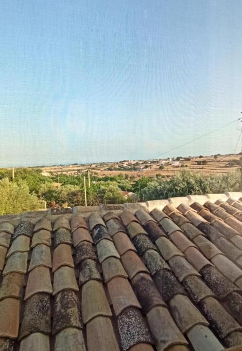 Photo of Others in Casa Papa