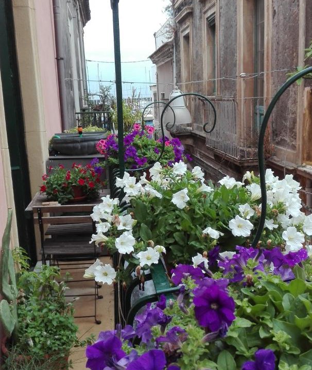 Photo of Buildings in Riposto