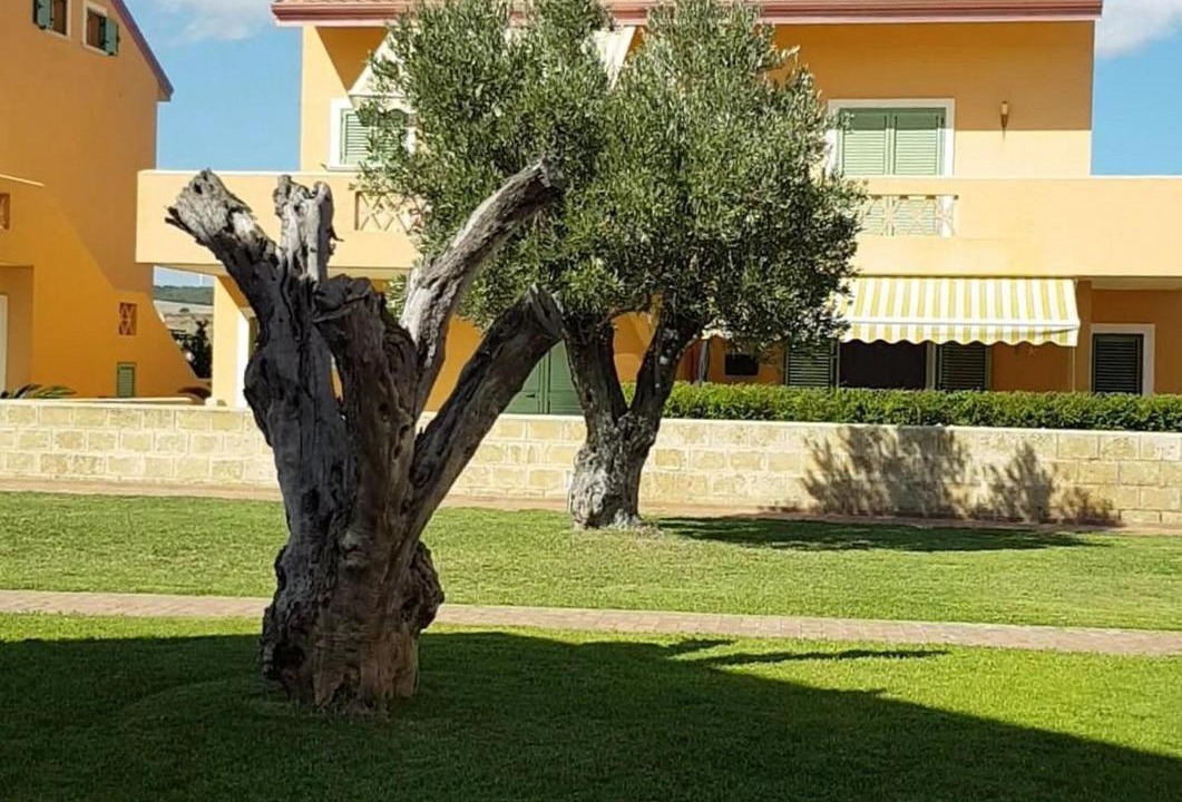 Photo of Others in Le Castella