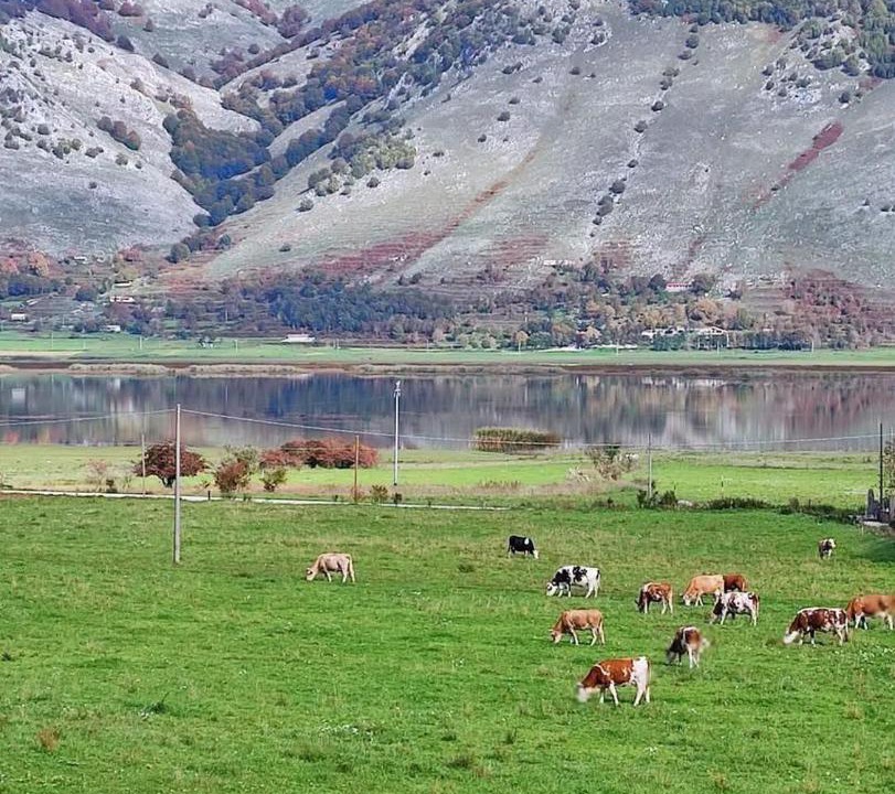 Photo of Others in San Gregorio Matese