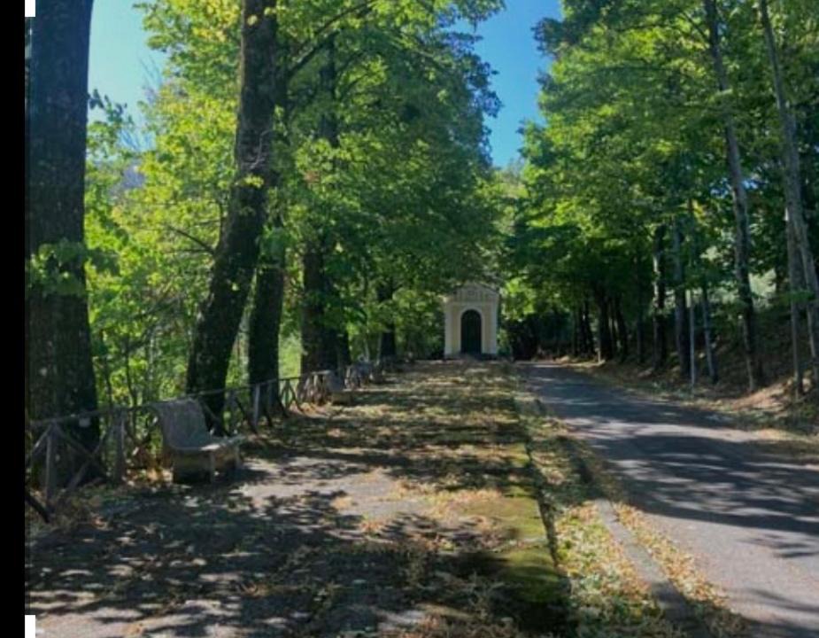 Photo of Others in Trecchina