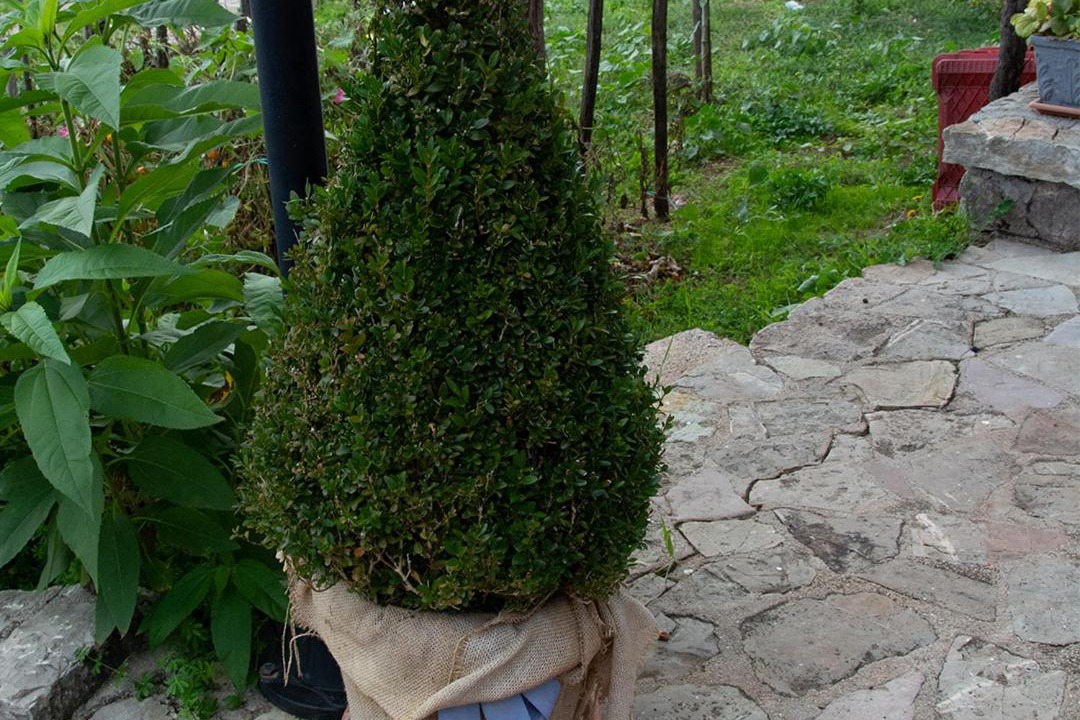 Photo of Others in Satriano di Lucania