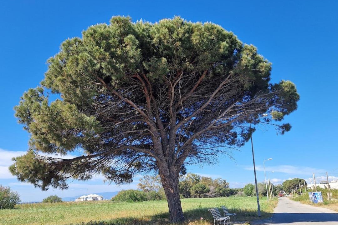 Photo of Outdoor in Sellia Marina