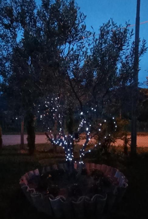 Photo of Others in Montevergine