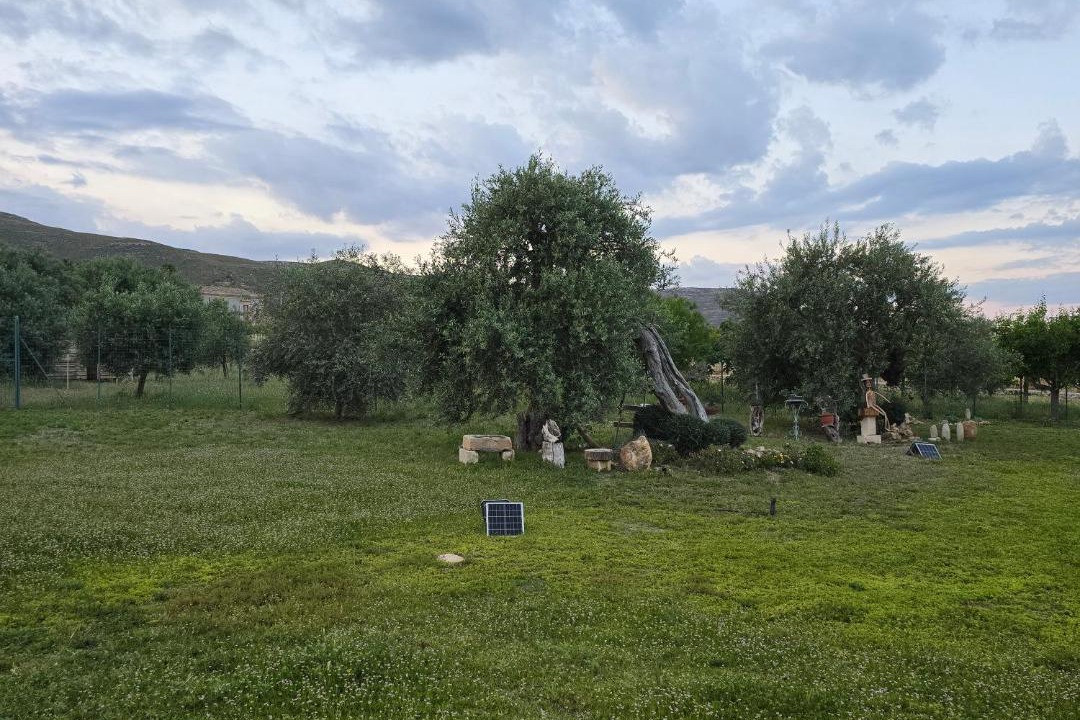 Photo of Others in Avola