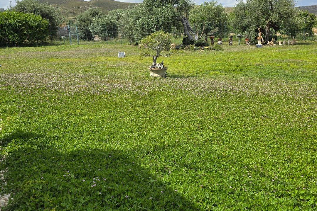 Photo of Others in Avola