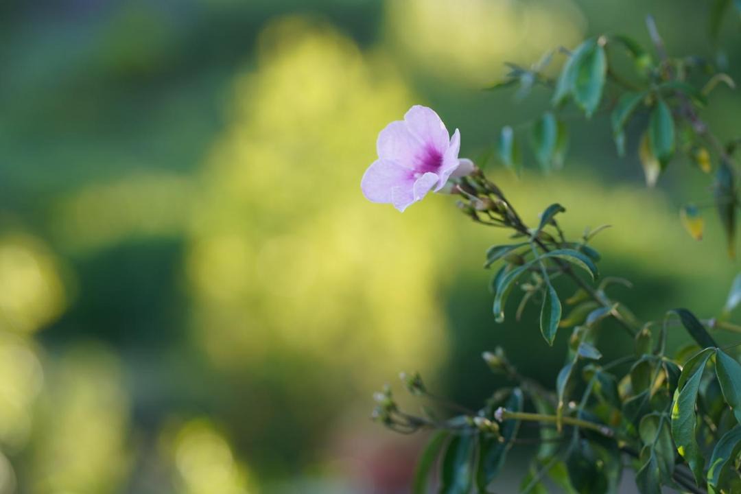 Photo of Outdoor in Mascali
