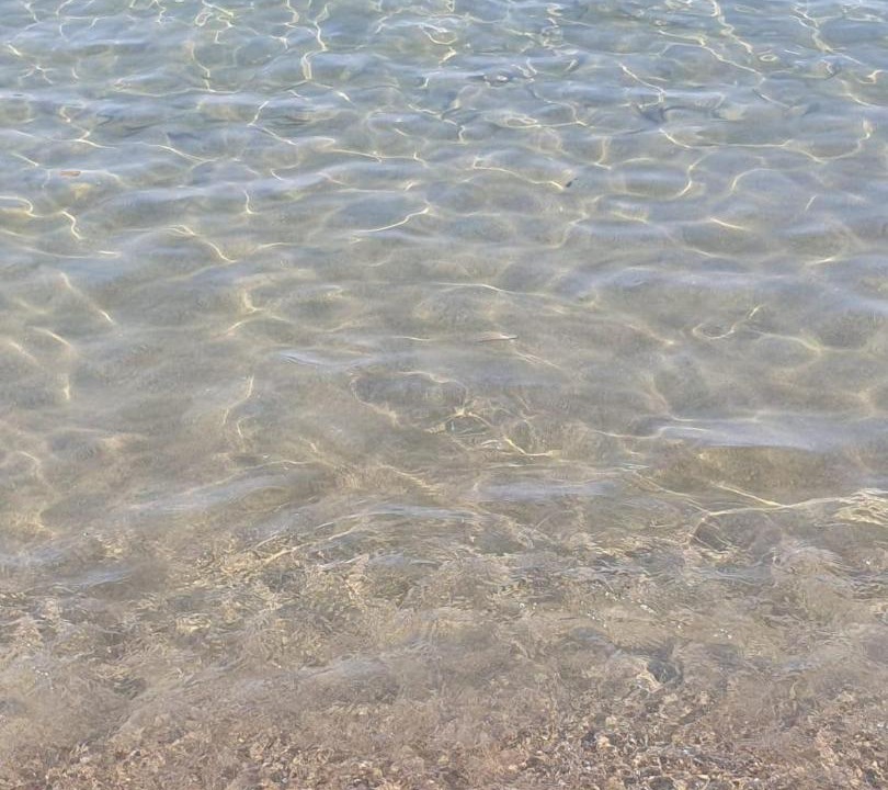 Photo of Others in Paestum